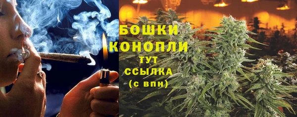spice Кинешма