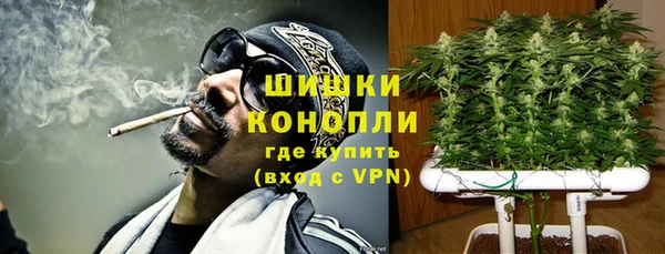 spice Кинешма