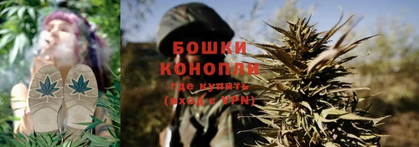spice Кинешма