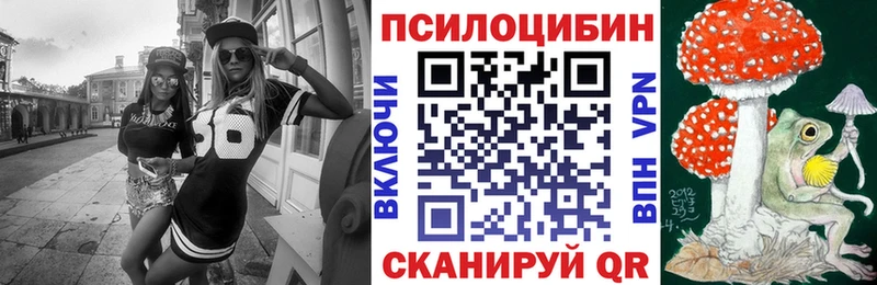 Галлюциногенные грибы GOLDEN TEACHER  Купить где  Шумиха 